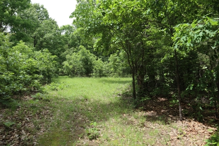 Acreage Near Ash Flat Arkansas - image 9