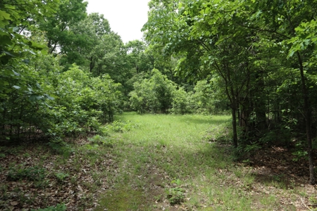 Acreage Near Ash Flat Arkansas - image 8