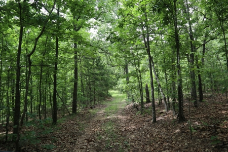 Acreage Near Ash Flat Arkansas - image 14