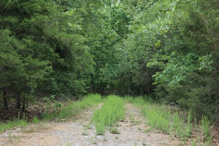 Acreage Near Ash Flat Arkansas - image 1