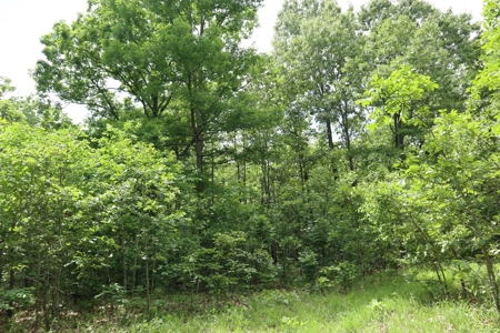 Acreage Near Ash Flat Arkansas - image 6