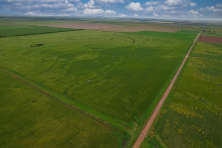40 Acres for Sale, Kiowa County, Oklahoma - image 6