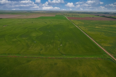40 Acres for Sale, Kiowa County, Oklahoma - image 5