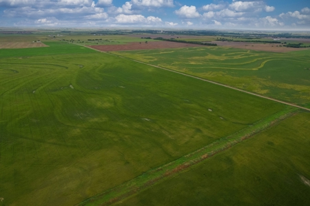 40 Acres for Sale, Kiowa County, Oklahoma - image 4