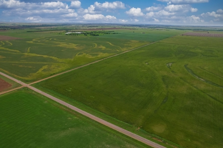 40 Acres for Sale, Kiowa County, Oklahoma - image 3