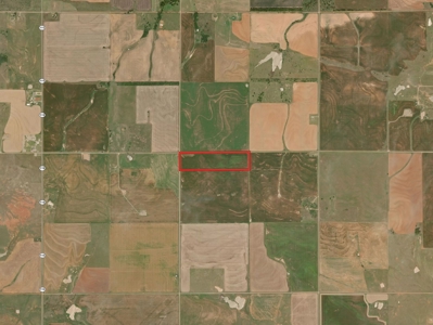 40 Acres for Sale, Kiowa County, Oklahoma - image 9