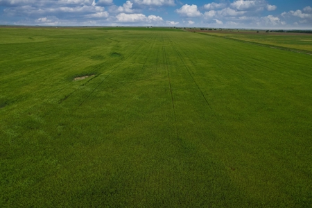 40 Acres for Sale, Kiowa County, Oklahoma - image 7