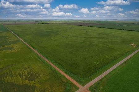 40 Acres for Sale, Kiowa County, Oklahoma - image 1