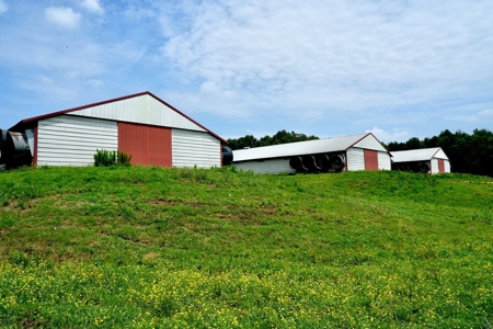 8 House Turnkey Poultry Farm Central Mississippi - image 4