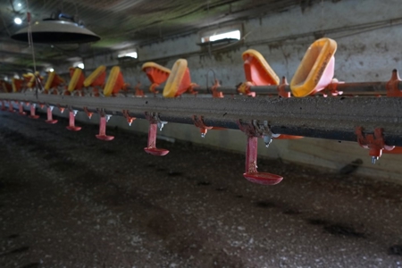 8 House Turnkey Poultry Farm Central Mississippi - image 19