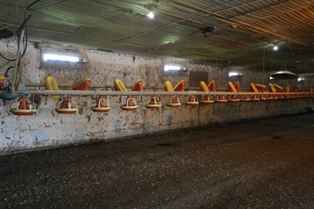 8 House Turnkey Poultry Farm Central Mississippi - image 21