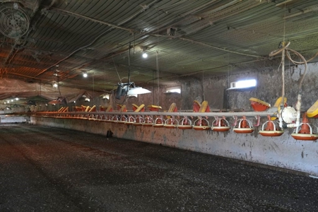 8 House Turnkey Poultry Farm Central Mississippi - image 20