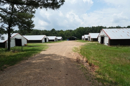 8 House Turnkey Poultry Farm Central Mississippi - image 2