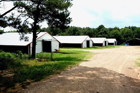 8 House Turnkey Poultry Farm Central Mississippi - image 3