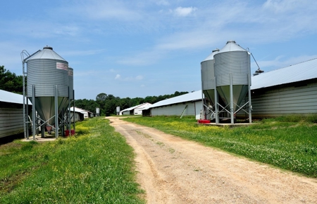 8 House Turnkey Poultry Farm Central Mississippi - image 9