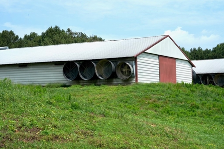 8 House Turnkey Poultry Farm Central Mississippi - image 5