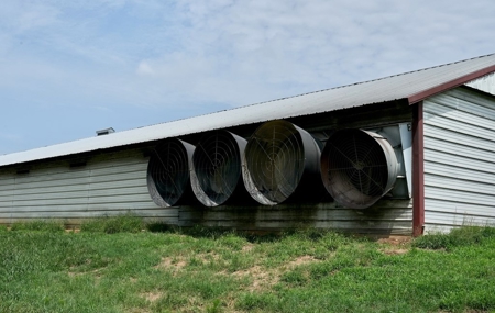 8 House Turnkey Poultry Farm Central Mississippi - image 14