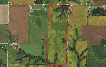 119 acres Tillable Farm Land For Sale - image 1