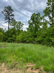 44 +/- Acres near Silva MO - image 1