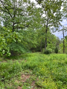 44 +/- Acres near Silva MO - image 7