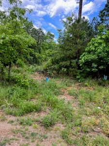 44 +/- Acres near Silva MO - image 8