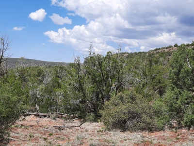 Secluded 5 acre Northern Arizona off grid mountain property - image 5
