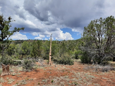 Secluded 5 acre Northern Arizona off grid mountain property - image 12