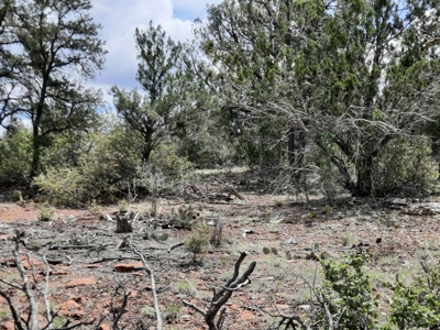 Secluded 5 acre Northern Arizona off grid mountain property - image 8