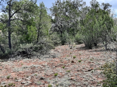 Secluded 5 acre Northern Arizona off grid mountain property - image 13