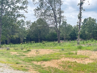 Building lot ready to go for sale Cherokee Village, AR - image 10