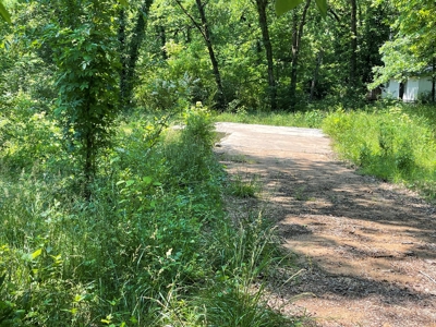 Building lot ready to go for sale Cherokee Village, AR - image 5