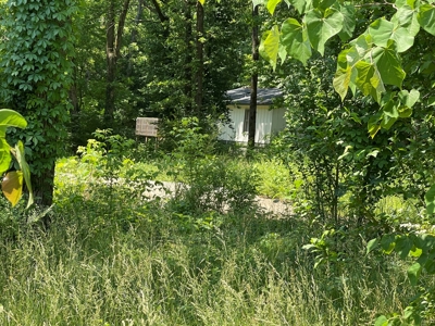 Building lot ready to go for sale Cherokee Village, AR - image 4