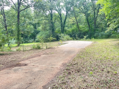 Building lot ready to go for sale Cherokee Village, AR - image 8