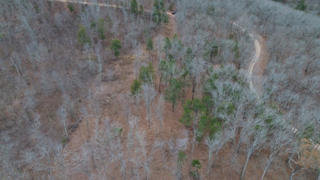 Acreage With Mountain Views For Sale in Newton County - image 20