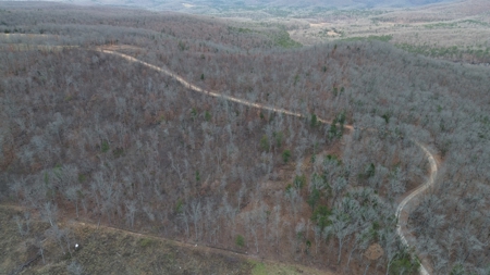 Acreage With Mountain Views For Sale in Newton County - image 18