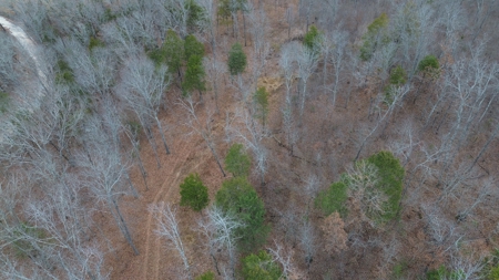 Acreage With Mountain Views For Sale in Newton County - image 14