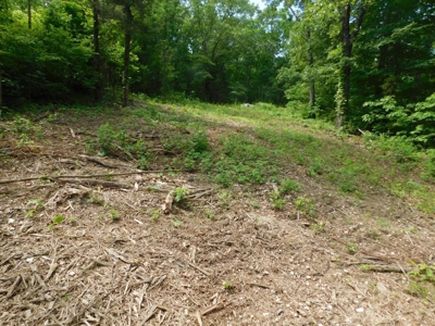 Acreage With Mountain Views For Sale in Newton County - image 2