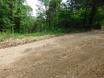 Acreage With Mountain Views For Sale in Newton County - image 3