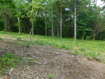 Acreage With Mountain Views For Sale in Newton County - image 7