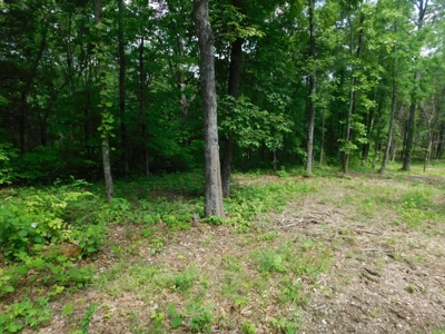 Acreage With Mountain Views For Sale in Newton County - image 4