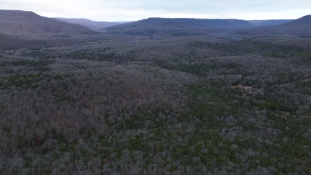 Acreage With Mountain Views For Sale in Newton County - image 16