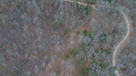 Acreage With Mountain Views For Sale in Newton County - image 17