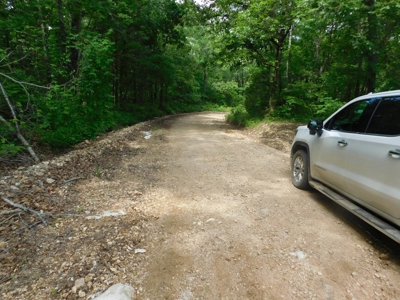 Acreage With Mountain Views For Sale in Newton County - image 10