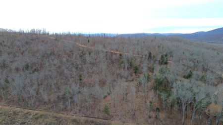 Acreage With Mountain Views For Sale in Newton County - image 19