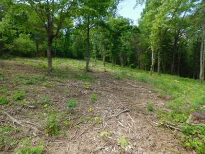 Acreage With Mountain Views For Sale in Newton County - image 9