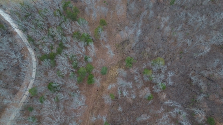 Acreage With Mountain Views For Sale in Newton County - image 15