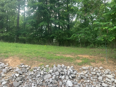 Lot #87 - Crescent Ridge Subdivision in Clinton County, KY - image 6