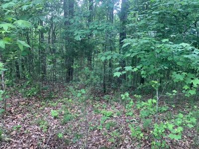 Lot #87 - Crescent Ridge Subdivision in Clinton County, KY - image 7