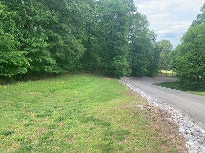Lot #87 - Crescent Ridge Subdivision in Clinton County, KY - image 3