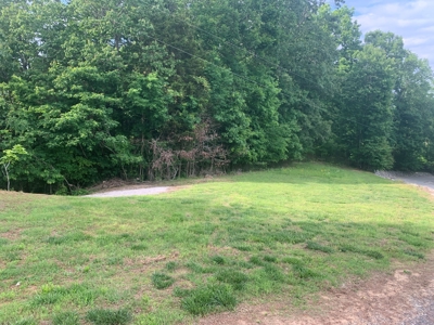 Lot #87 - Crescent Ridge Subdivision in Clinton County, KY - image 2